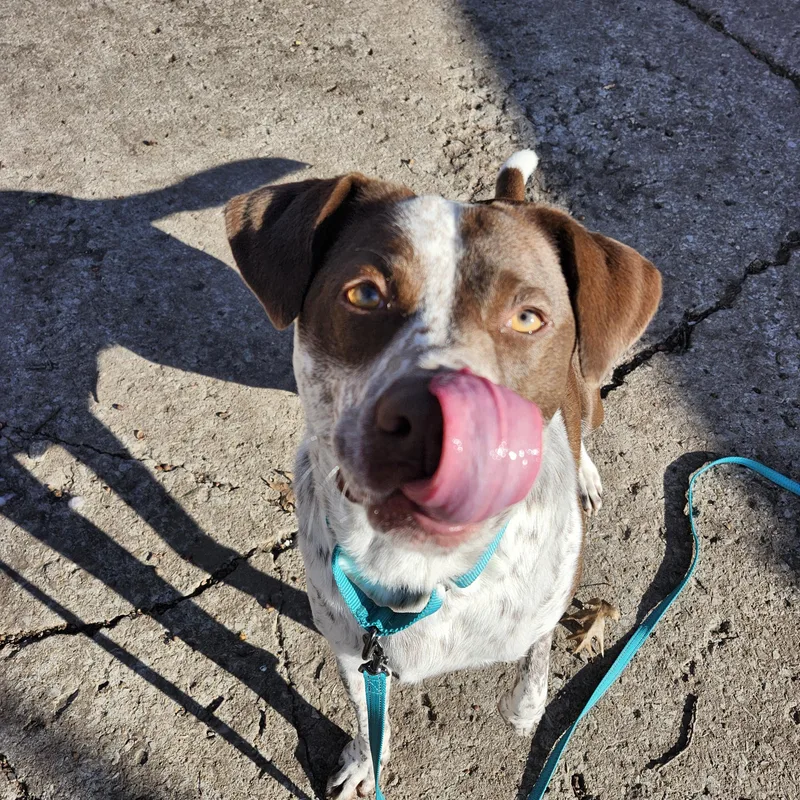 Brooks  I'm A thumbnail 2