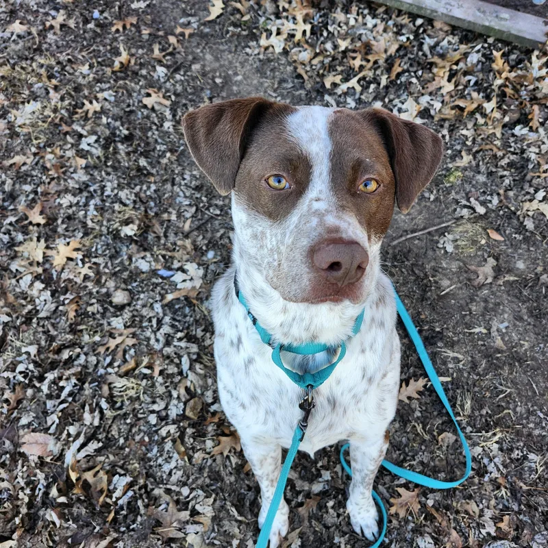 Brooks  I'm A thumbnail 3