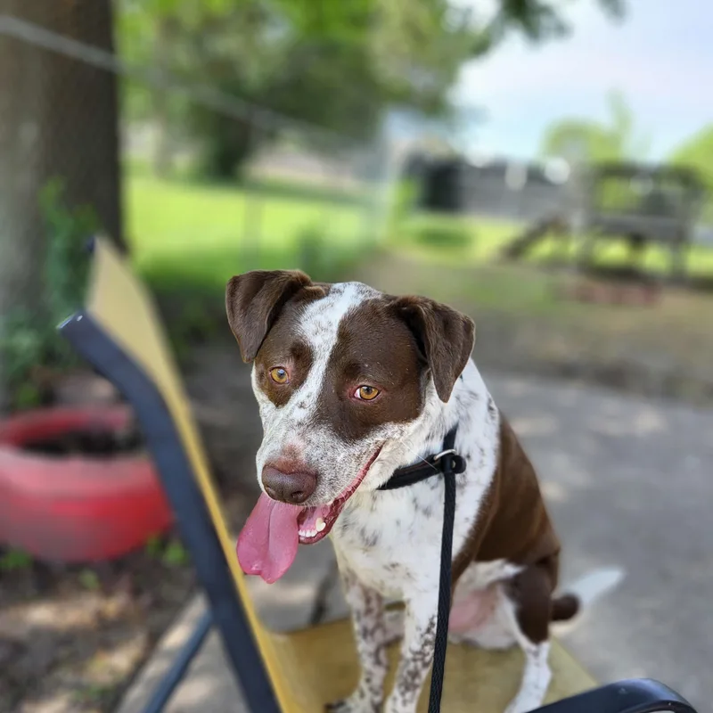 Brooks  I'm A thumbnail 5