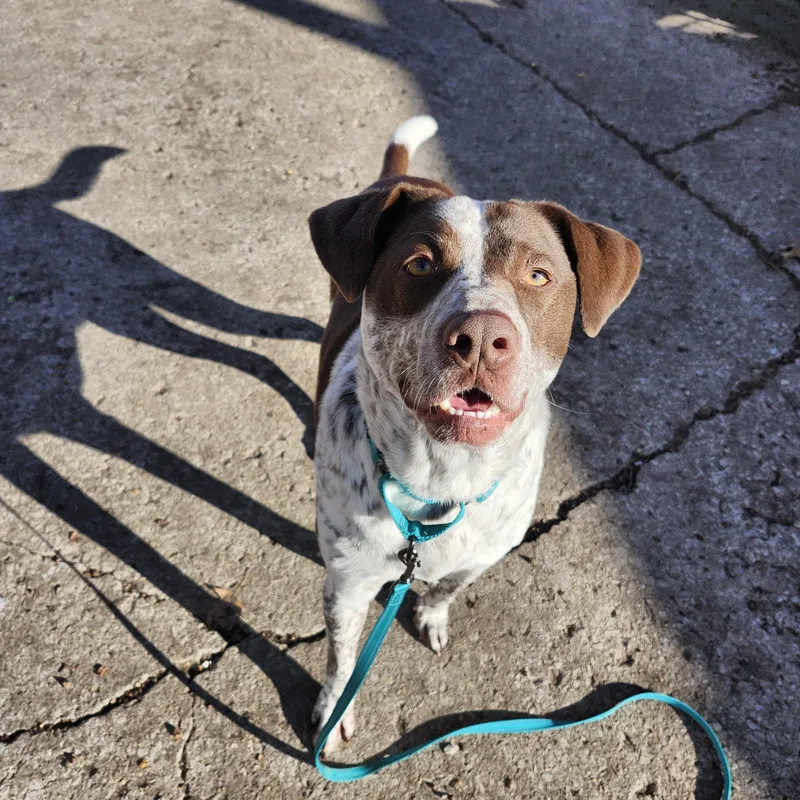 Brooks  I'm A thumbnail 6