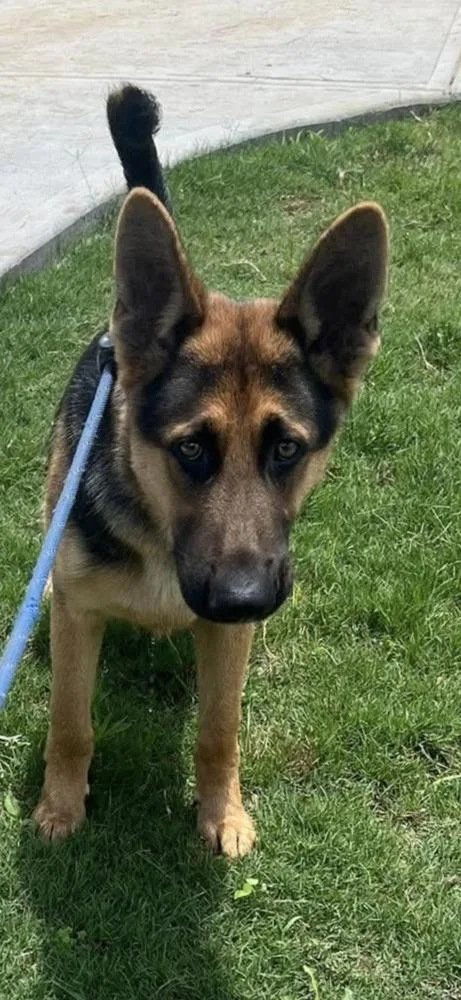 Max