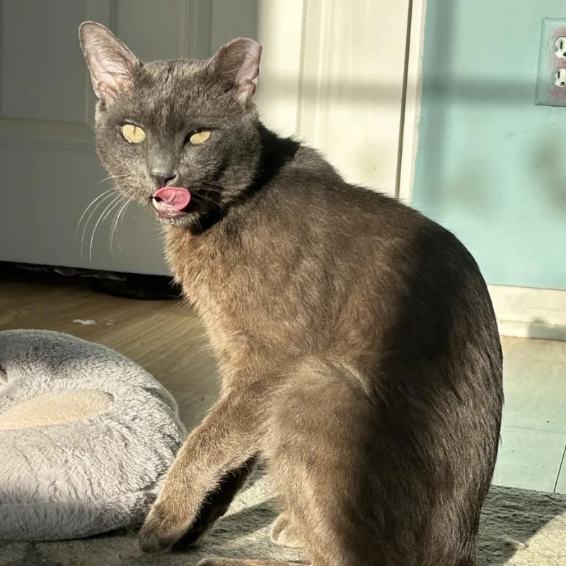 Billy Pilgrim thumbnail 5