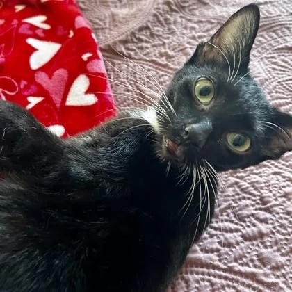 Einstein Yr+ thumbnail 4