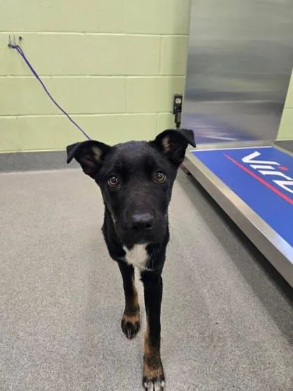 Patricia thumbnail 2