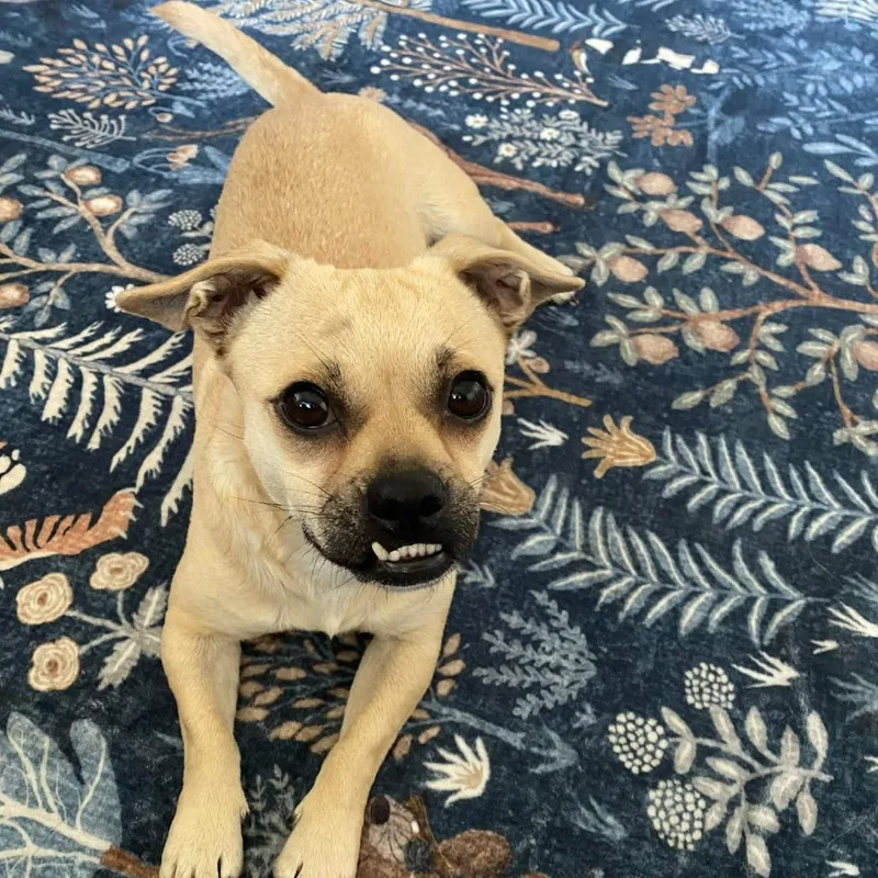 Esther D Arriving thumbnail 2