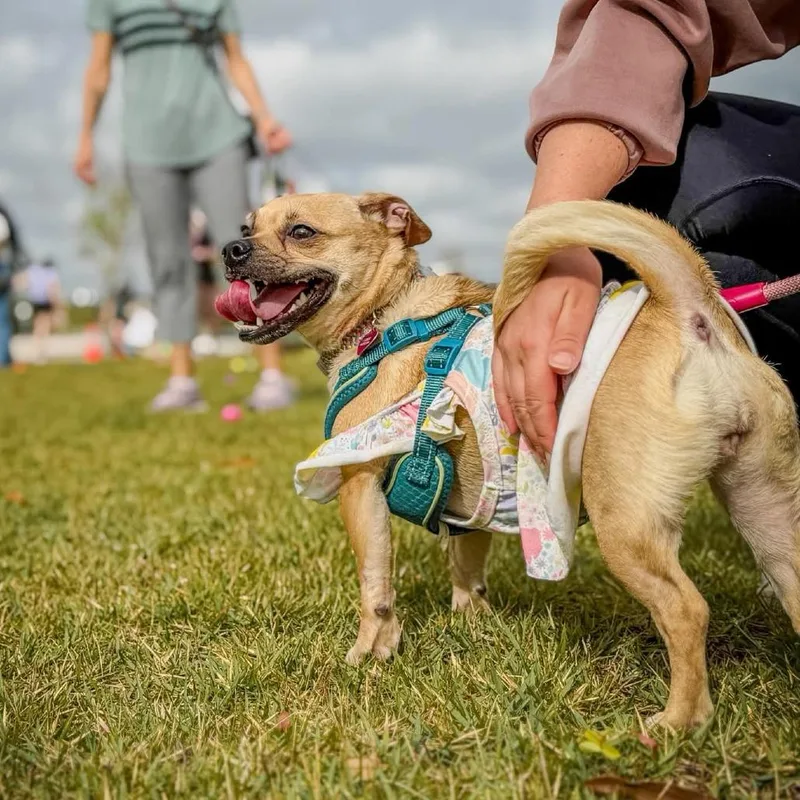 Esther D Arriving thumbnail 3