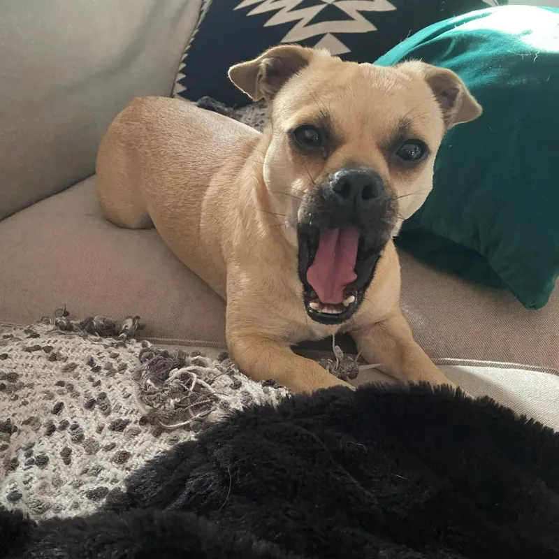 Esther D Arriving thumbnail 4