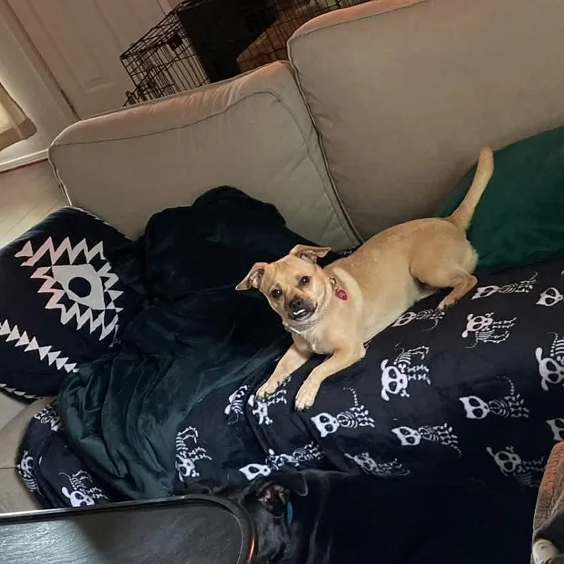 Esther D Arriving thumbnail 5