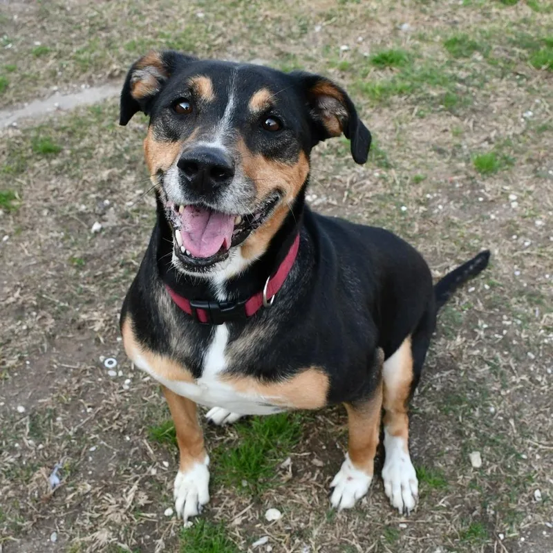 Mocha 🤍💜 A thumbnail 2