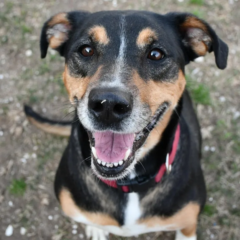 Mocha 🤍💜 A thumbnail 3