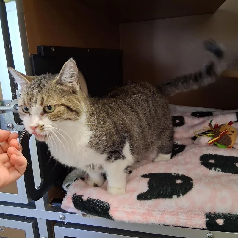 Vicki thumbnail 3