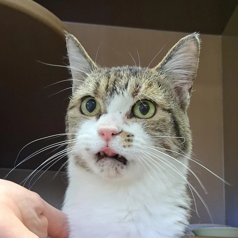 Vicki thumbnail 5