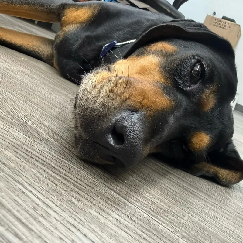 Ethel