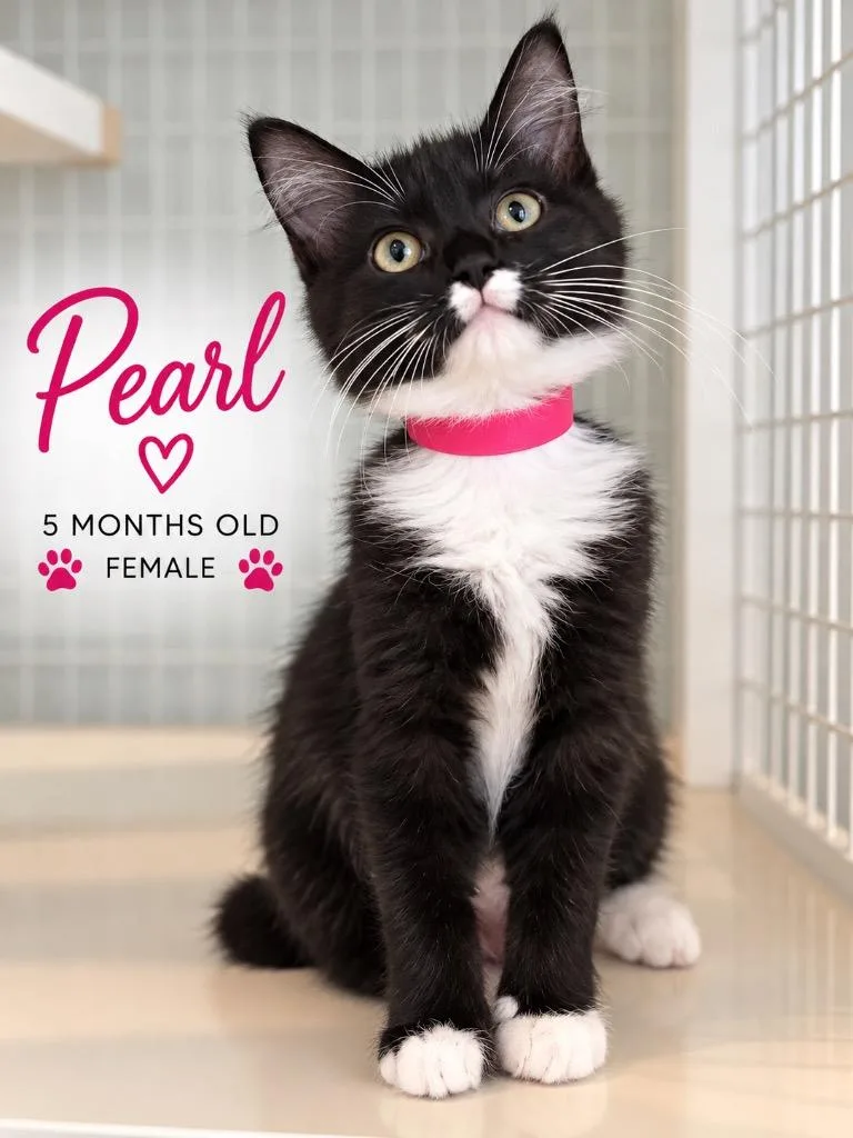 Pearl