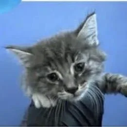 Digit thumbnail 6