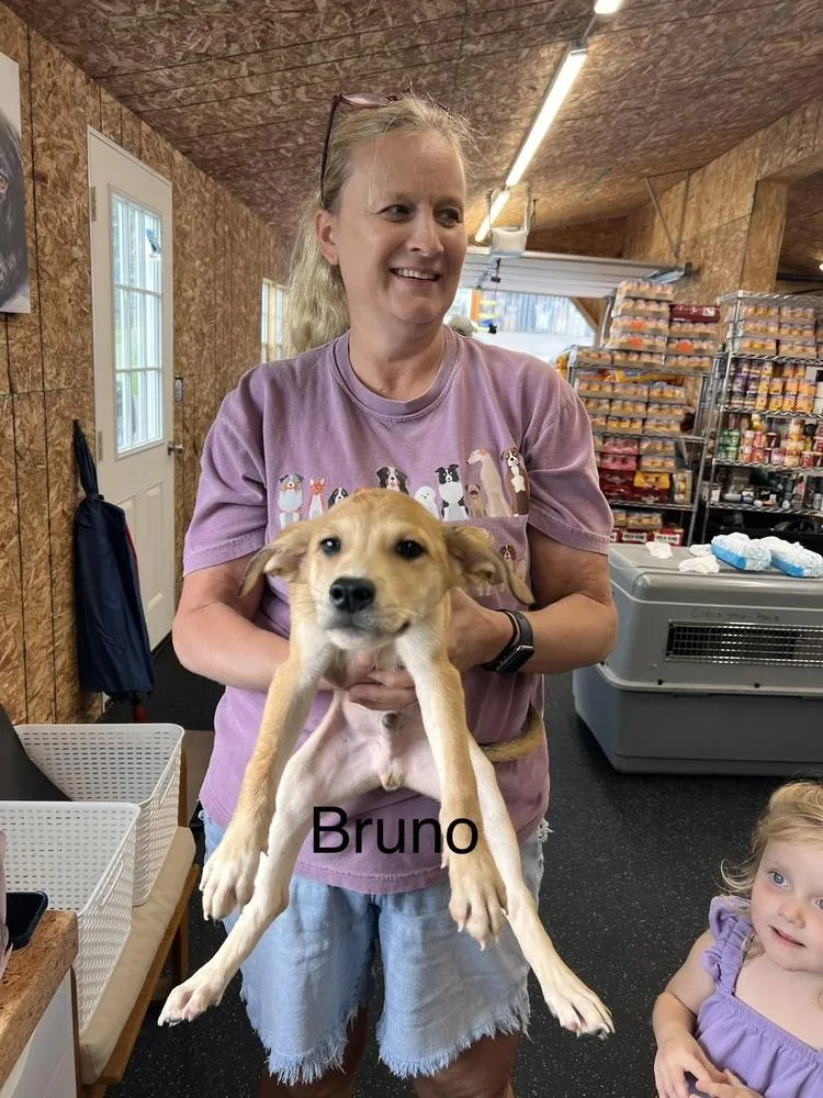 Bruno
