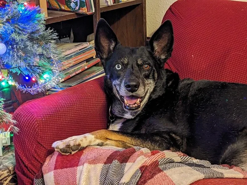 Chimichurri Sauce thumbnail 2