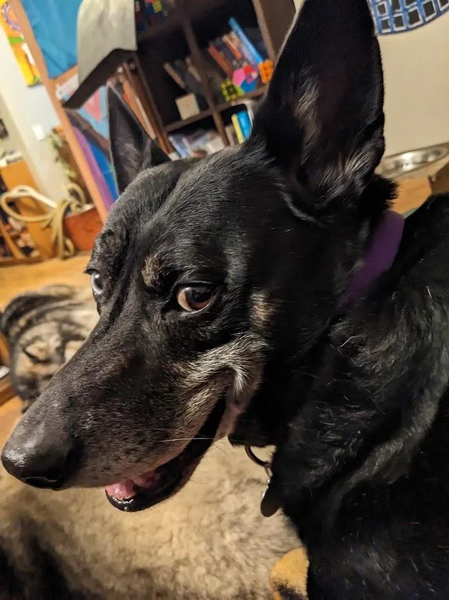 Chimichurri Sauce thumbnail 3