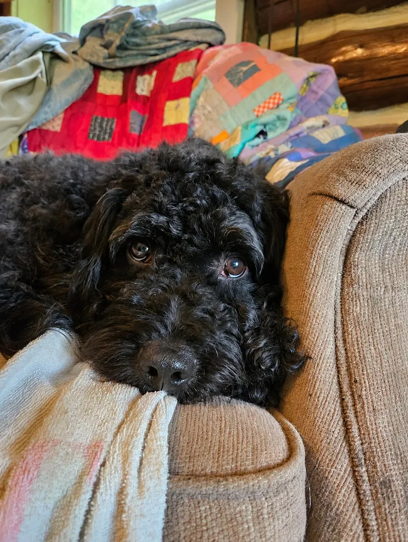 Buster