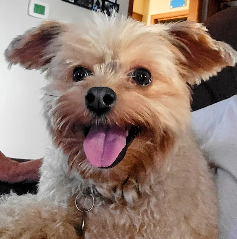 Galeanda thumbnail 3