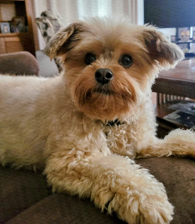 Galeanda thumbnail 4