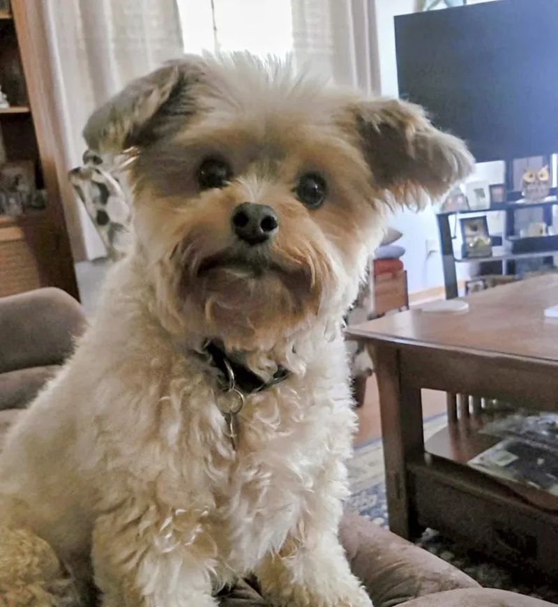 Galeanda thumbnail 6