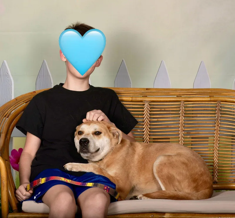 Dozer thumbnail 3