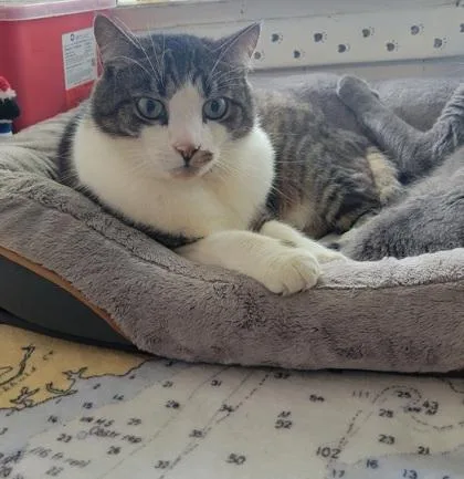 Ramone Albus thumbnail 2