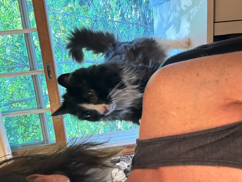 Sunshine thumbnail 2