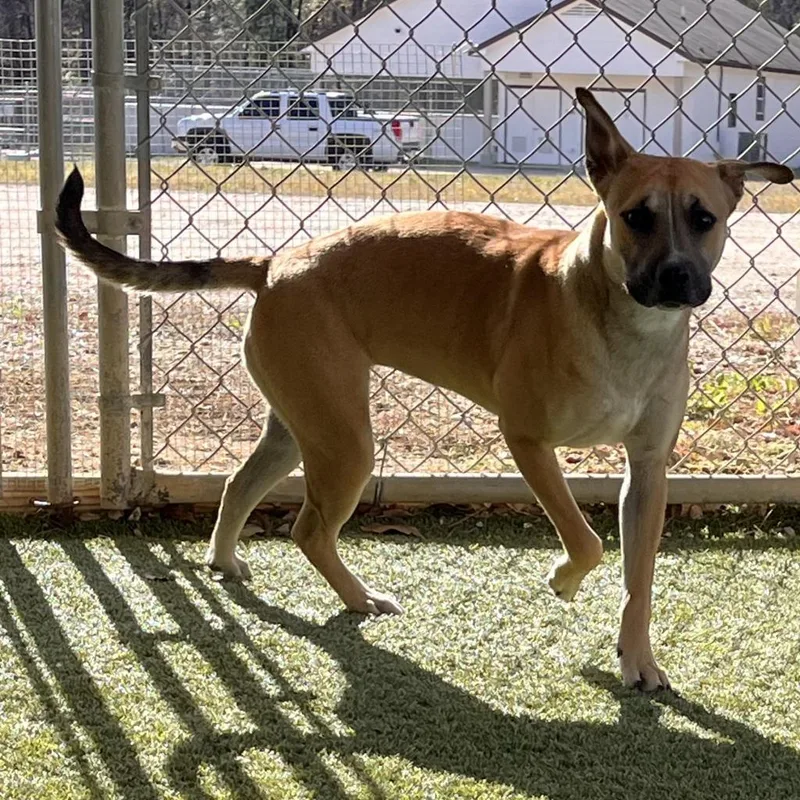 Willowlynn thumbnail 2