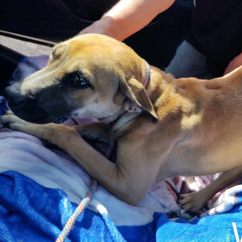 Willowlynn thumbnail 3