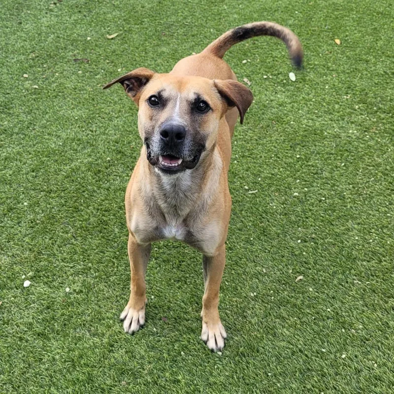 Willowlynn thumbnail 4