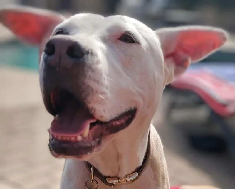 Lenore "norah" thumbnail 2