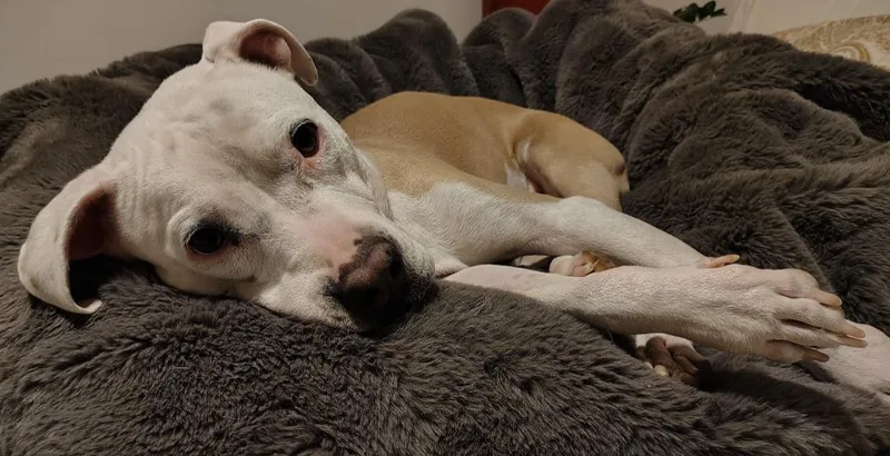 Lenore "norah" thumbnail 3