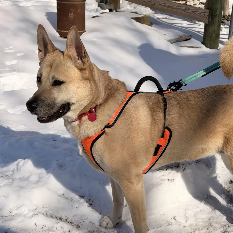 Misty Love thumbnail 4