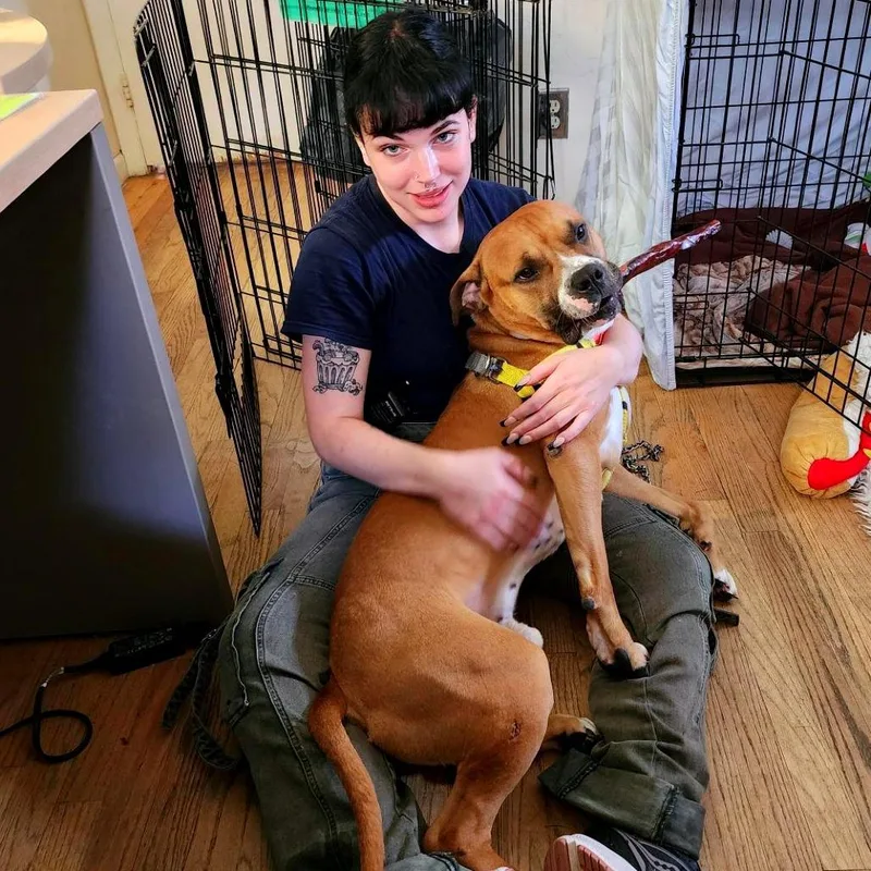 Poundcake thumbnail 3