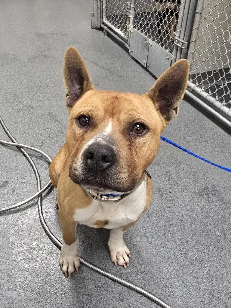 Da  Jerry thumbnail 2