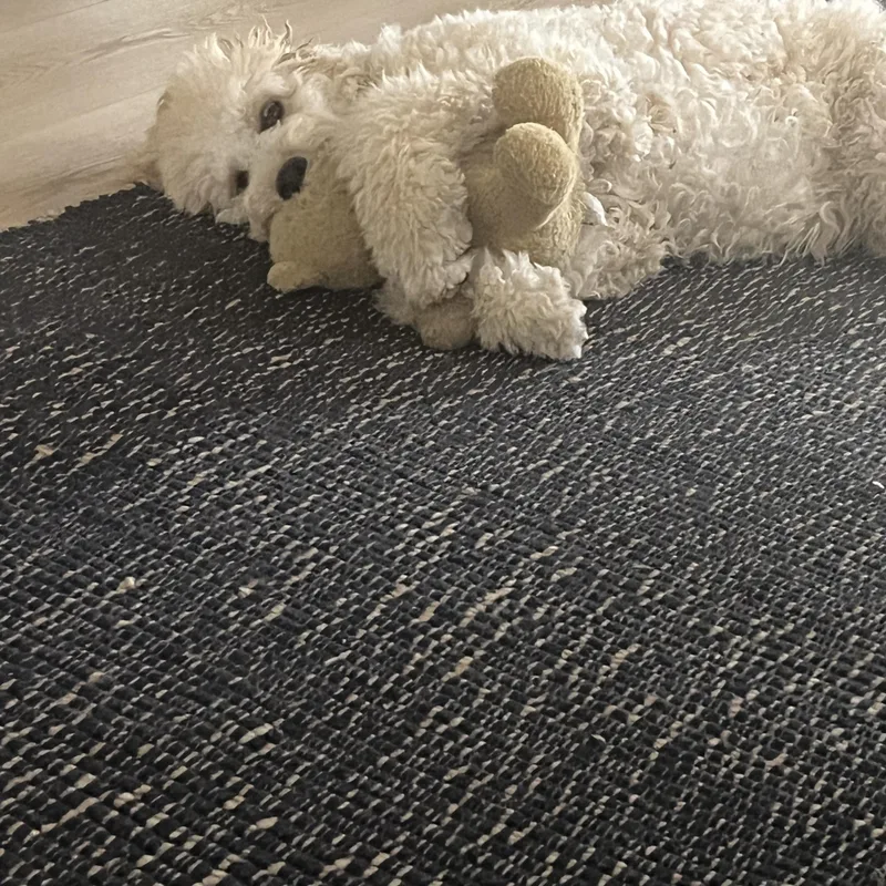 A baby medium-sized female Goldendoodle dog named Emmaflorida for adoption in Houston, TX