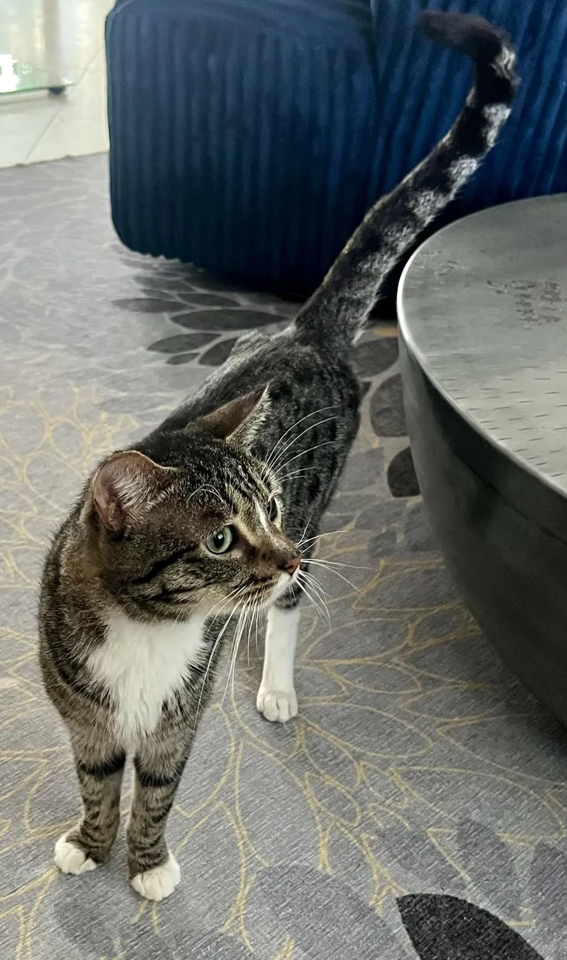 Luca The Sweetest Boy thumbnail 2