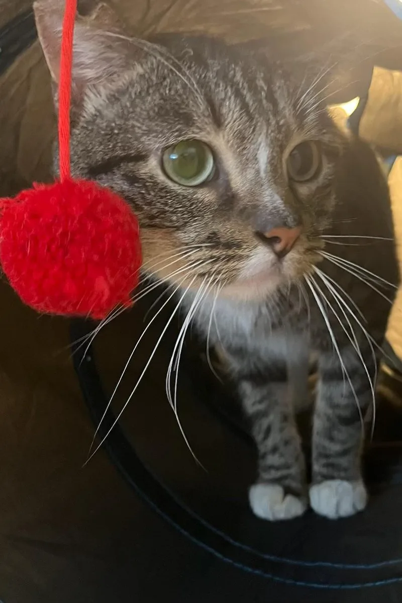 Luca The Sweetest Boy thumbnail 3