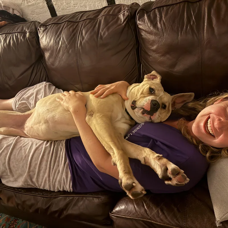 Petunia thumbnail 3