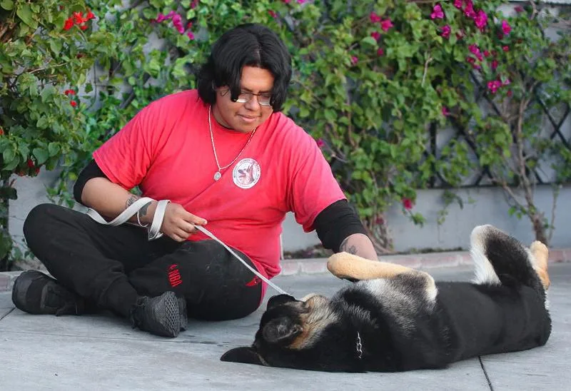 Sisko Von Sarstedt thumbnail 3