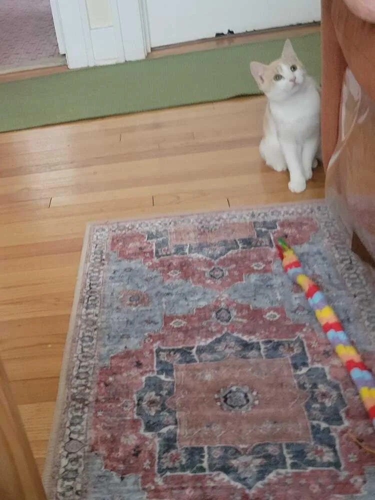 Precious thumbnail 6