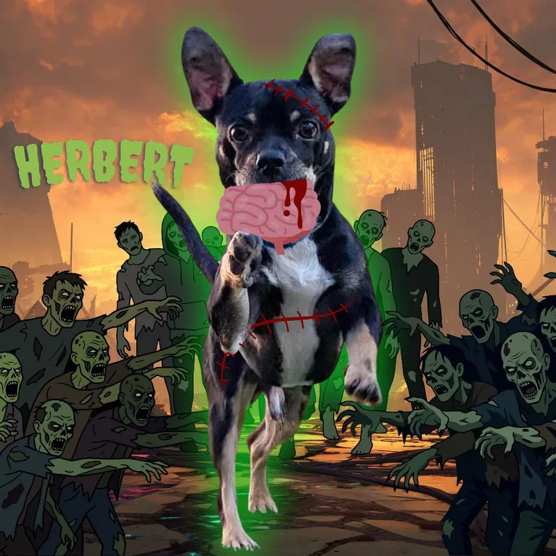 Herbert thumbnail 6