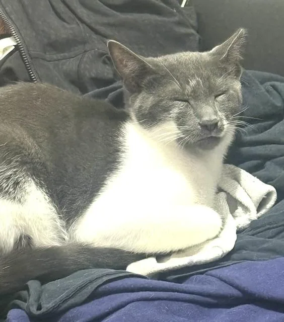 Gus thumbnail 2