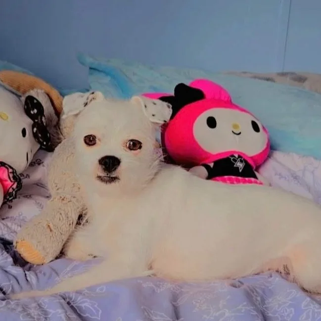 Evie Rose thumbnail 3