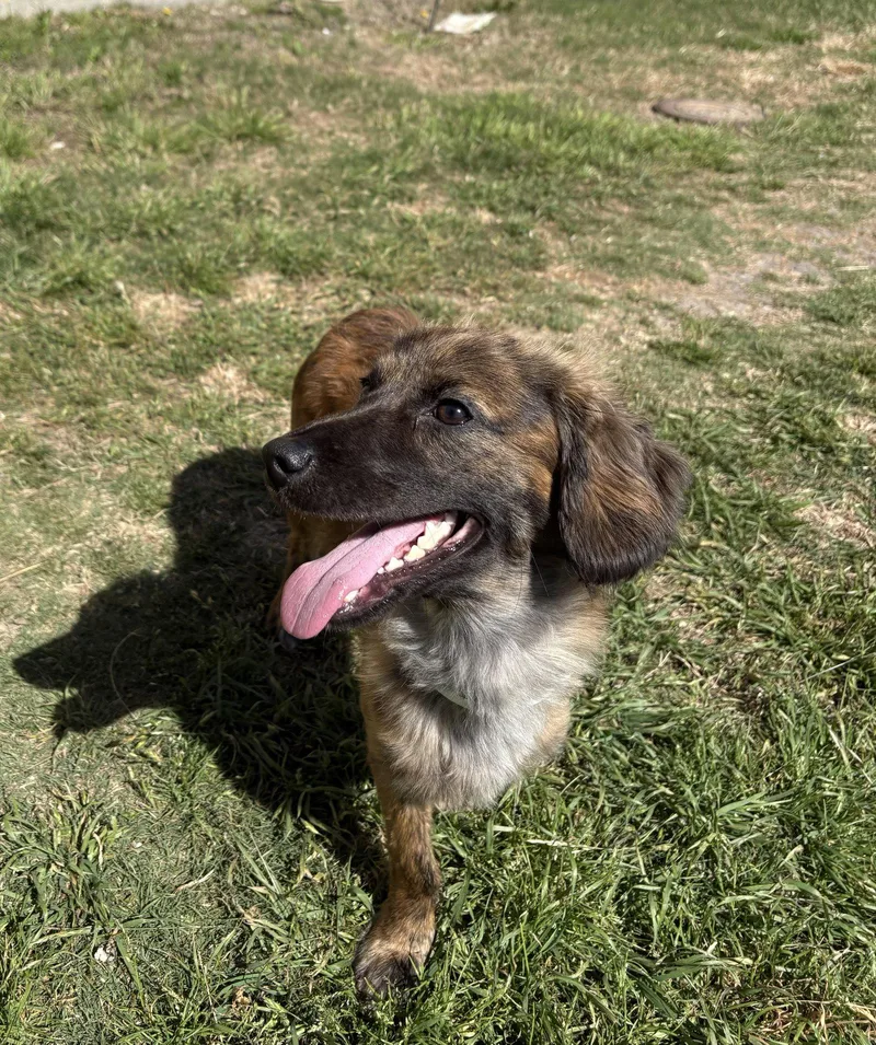 Waylon Jennings thumbnail 3