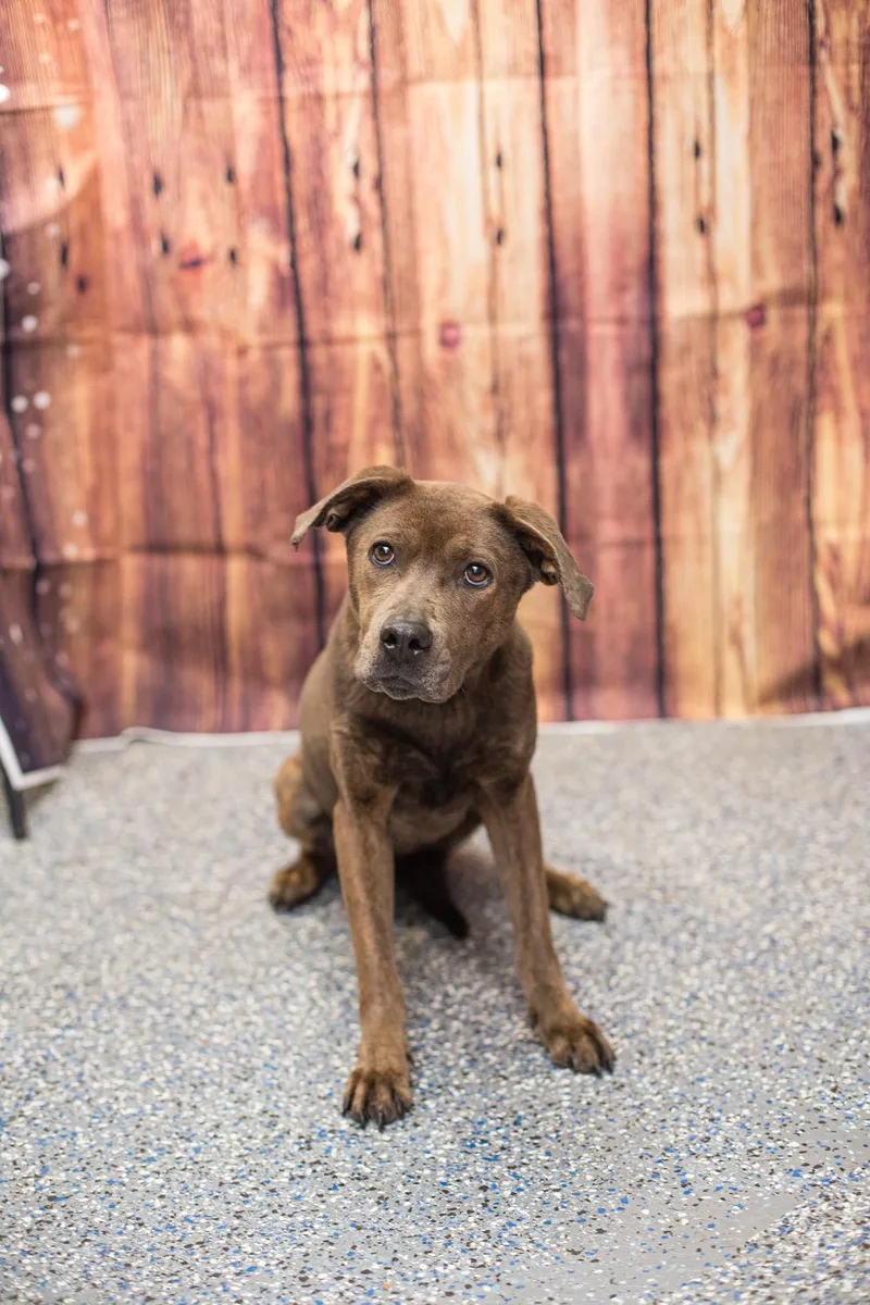 Daisy May thumbnail 2