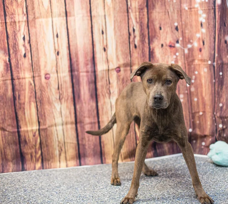 Daisy May thumbnail 3