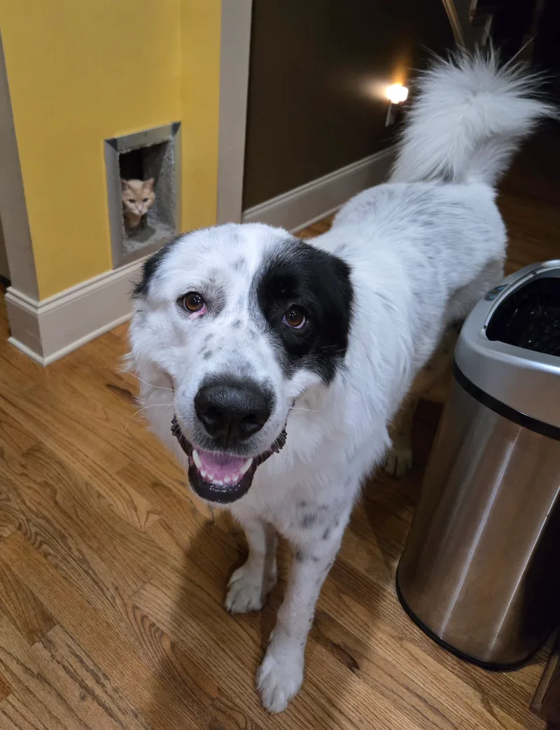 Fred Walker thumbnail 2